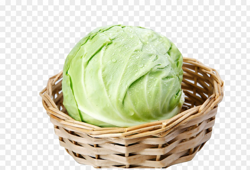 Cabbage Napa Cauliflower Broccoli Vegetable PNG