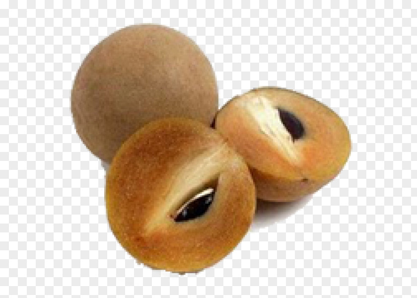 CHIKOO Sapodilla Tropical Fruit Mamey Sapote Banana PNG