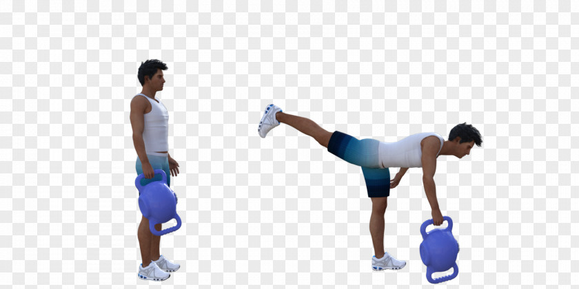 Furnishing Exercise Weight Training Shoulder Sternum Medicine Balls PNG