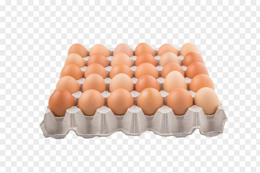 Paddle Egg Tray Chicken Paper Carton Fruit PNG