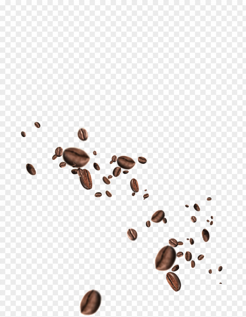 Coffee Espresso Bean Tea Tamper PNG
