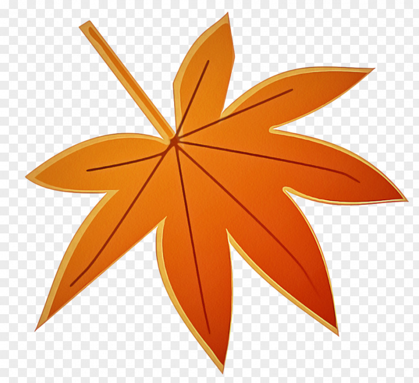 Flower Petal Maple Leaf PNG