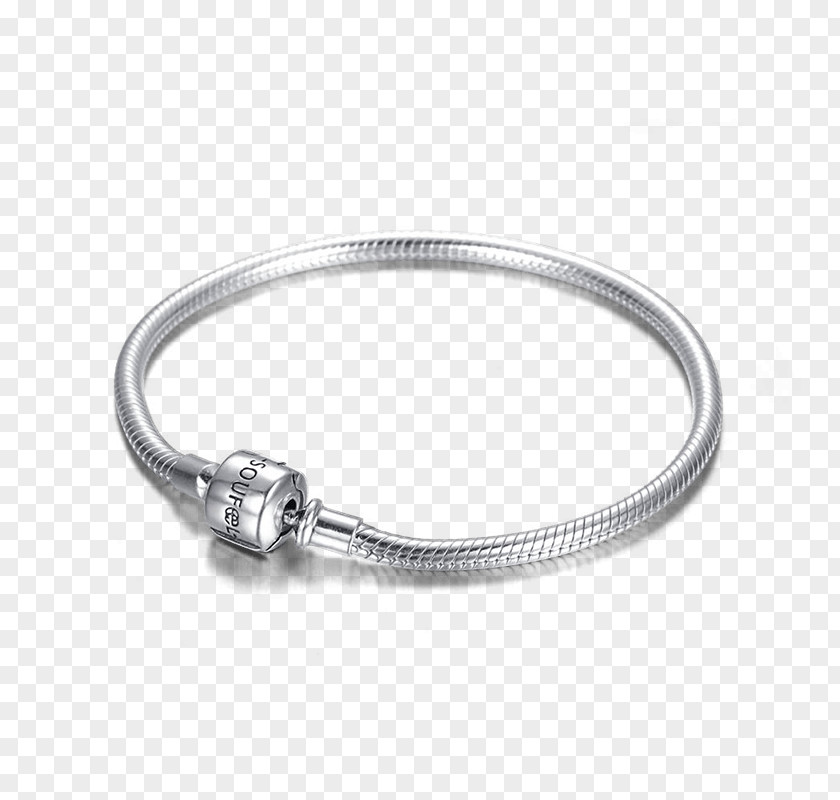 Jewellery Charm Bracelet Pandora Necklace PNG