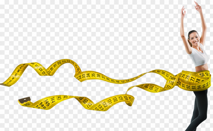 Tape Measure Weight Loss Adipose Tissue Human Body Abdominal Obesity Stock Photography PNG
