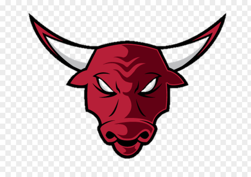 Bull Logo Chicago Bulls Rebranding Benny The Clip Art PNG
