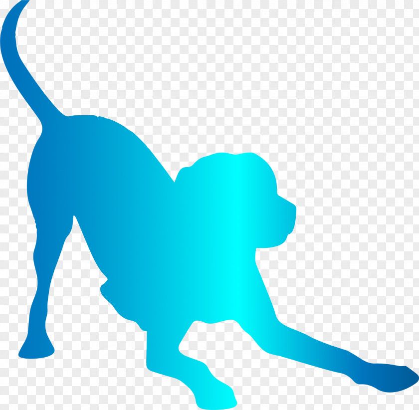 Leash Sporting Group Dog And Cat PNG