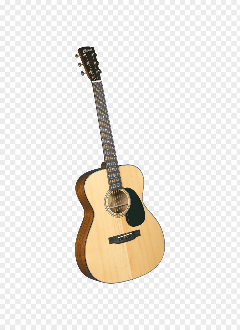Sawtooth Acoustic Guitar Dreadnought Musical Instruments Tenor PNG