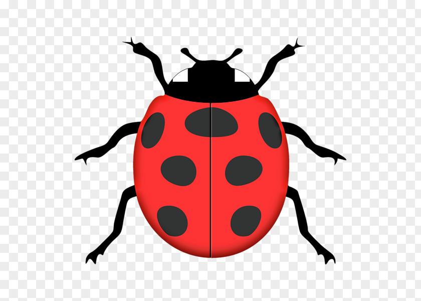 Silhouette Ladybird Stencil Clip Art PNG