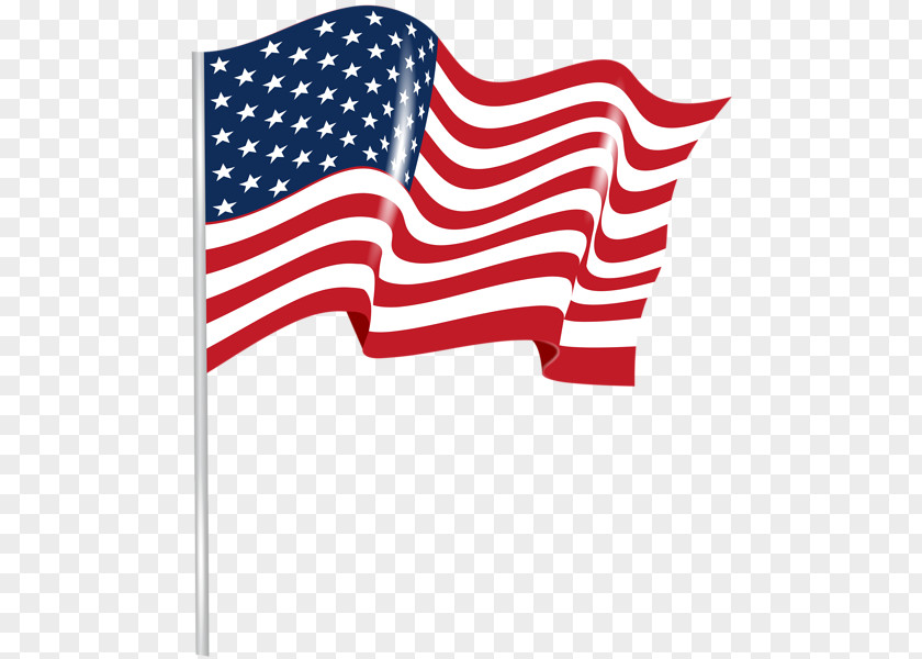 United States Of America Flag The Image Vector Graphics PNG