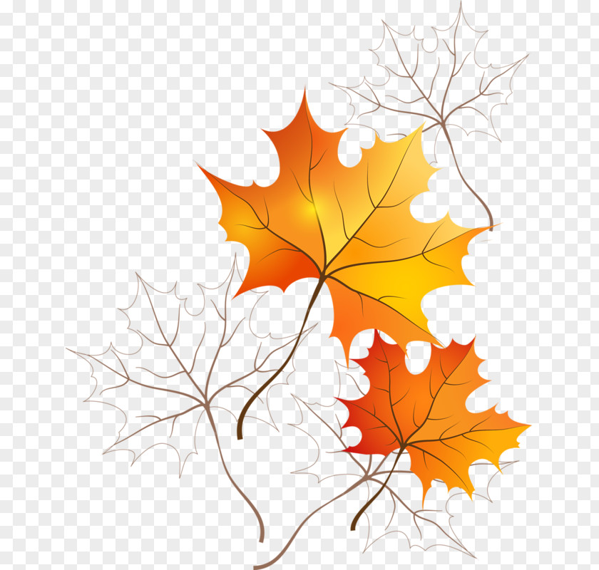 Autumn Picture Frames Leaf Color Desktop Wallpaper PNG