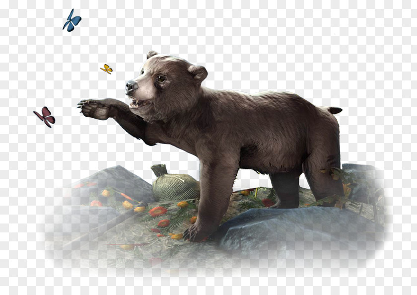 Bear Cub Brown Polar American Black Elder Scrolls Online: Morrowind PNG