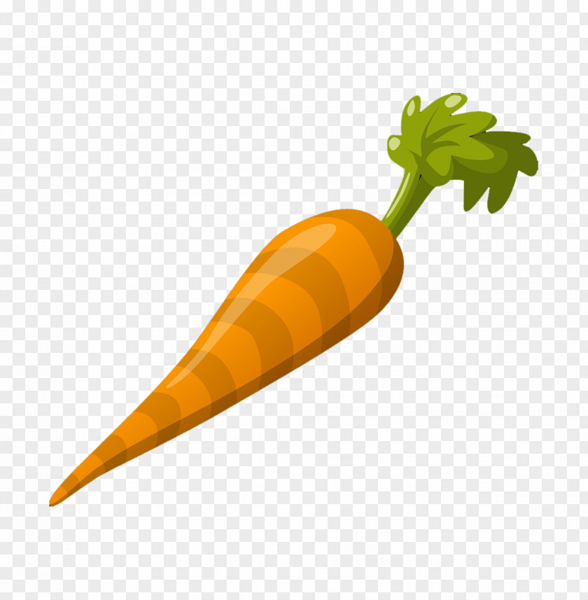 Cartoon Vegetables Carrots Daily Essential Vitamins Carrot Juice Vegetable Asian Ginseng Vitamin PNG
