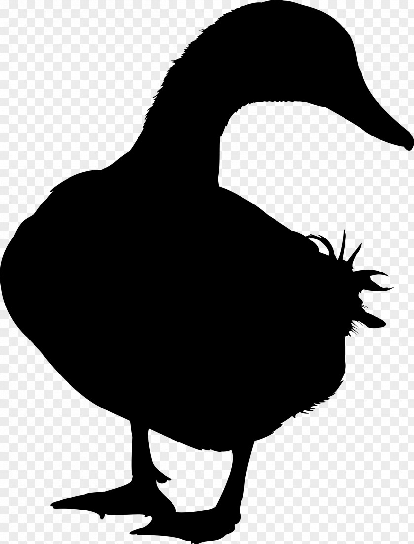 Duck Goose Silhouette Vector Graphics Image PNG