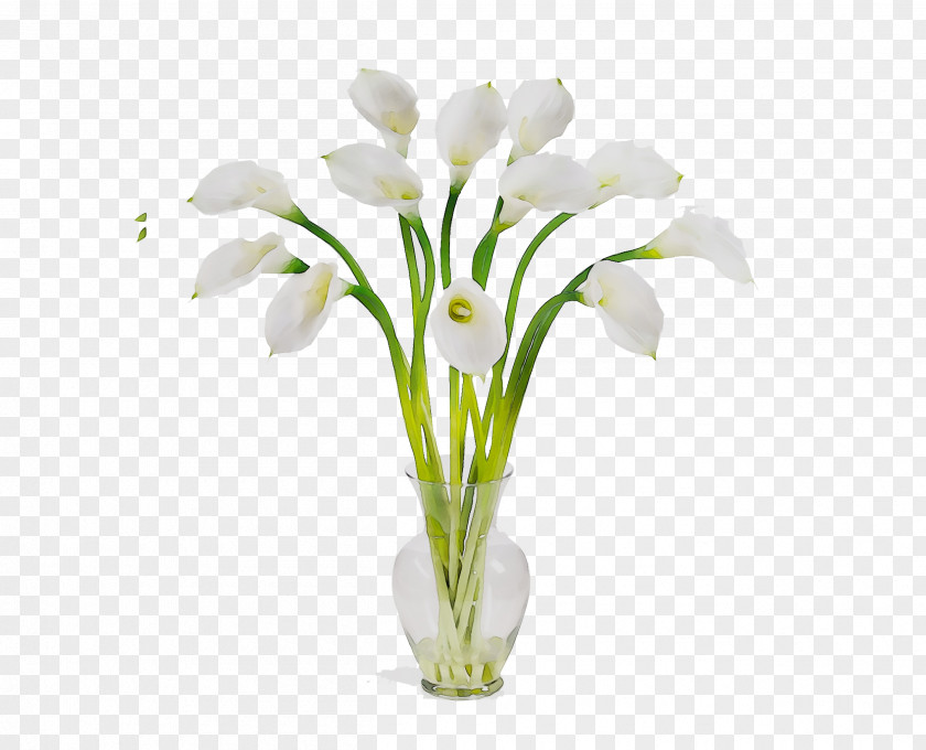 Floral Design Artificial Flower Lily Cut Flowers PNG