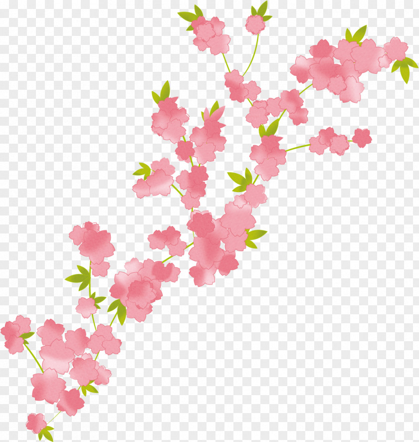 Flower Branch Bouquet Cherry Blossom Floral Design PNG