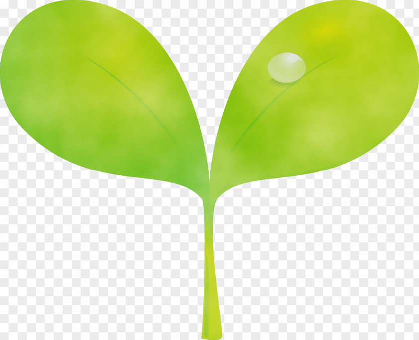 Green Leaf Plant Tree Stem PNG