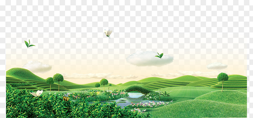 Large Tracts Of Green Tea Wallpaper PNG