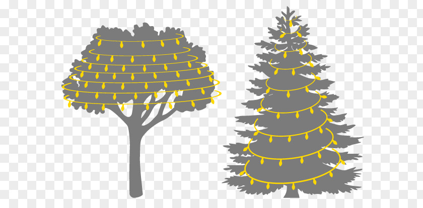 Bright Christmas Lights Pine Tree Evergreen Fir Conifers PNG