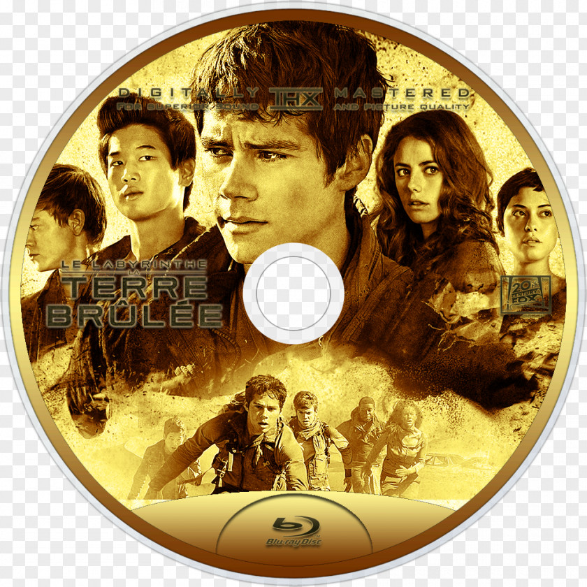 Dvd Dylan O'Brien Maze Runner: The Scorch Trials DVD PNG