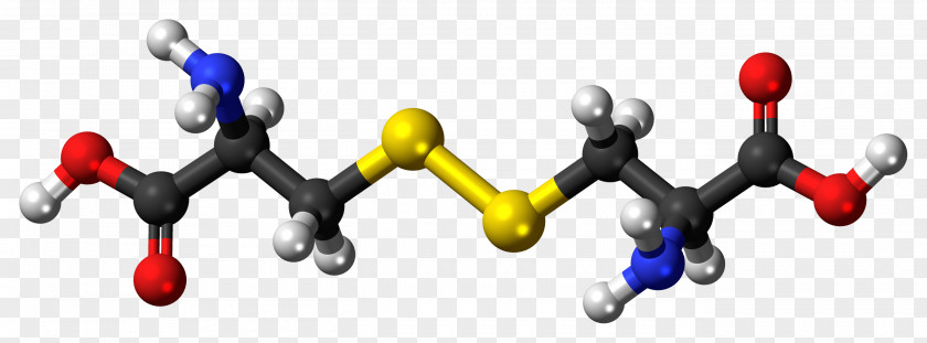 Glutamine Amino Acid Cytochrome P450 Testosterone PNG