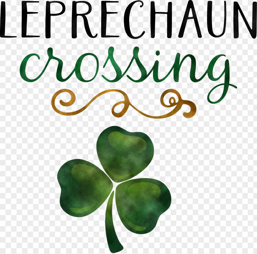 Leprechaun Patricks Day Saint Patrick PNG