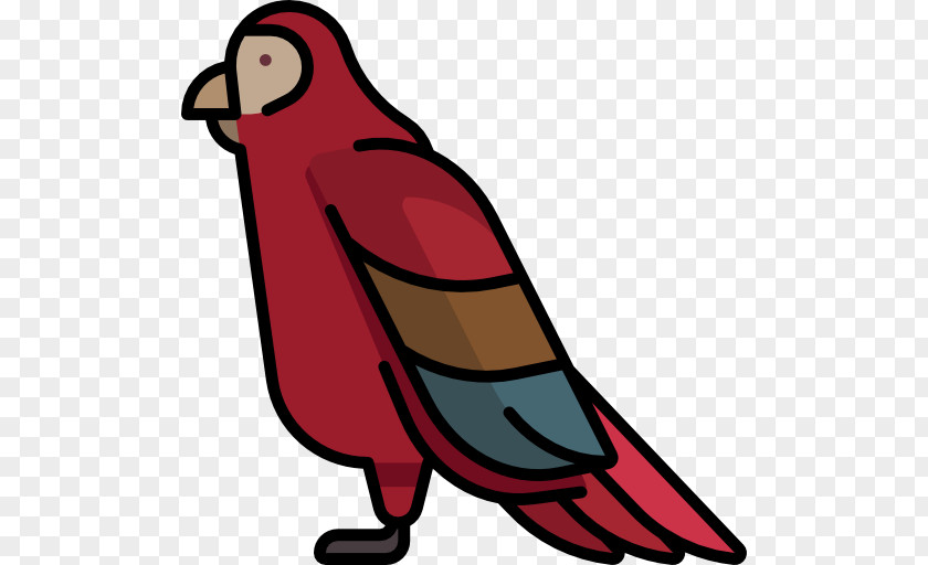 Loro Beak Clip Art PNG