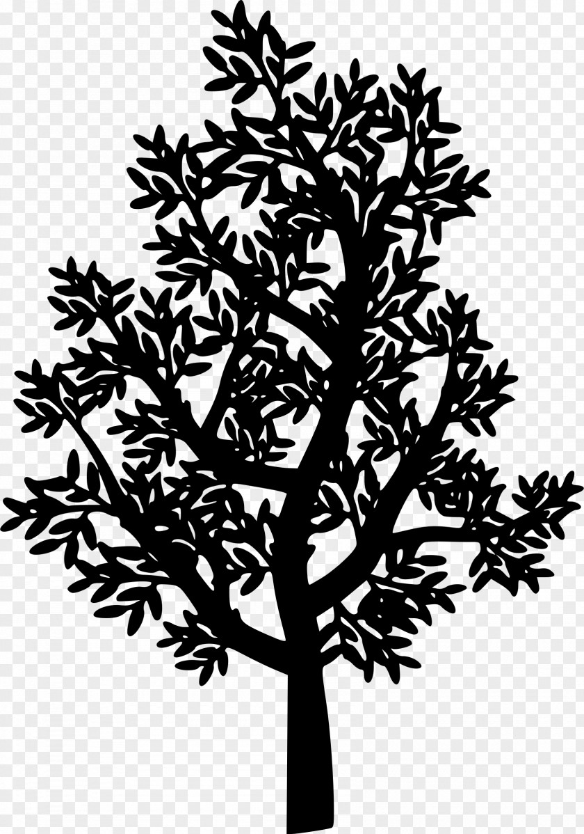 Love Tree Branch Silhouette Probiotic Twig PNG