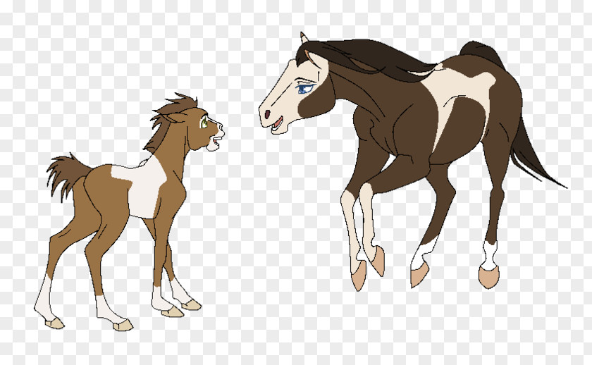 Mustang Foal Mare Pony Colt PNG