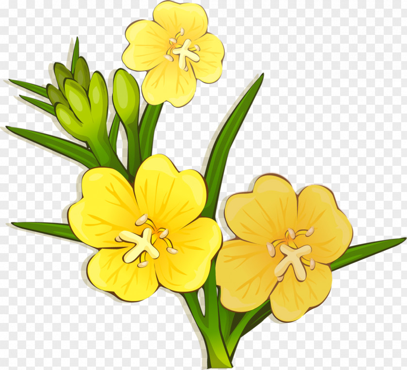 Drawing Flower Floral Design Clip Art PNG