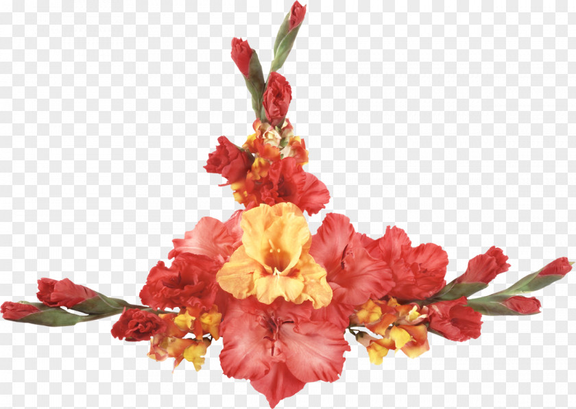 Gladiolus Flower Bouquet Desktop Wallpaper PNG