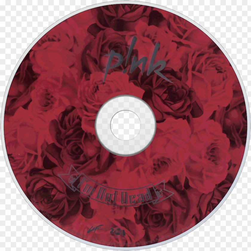 P!nk Compact Disc I'm Not Dead Disk Storage PNG
