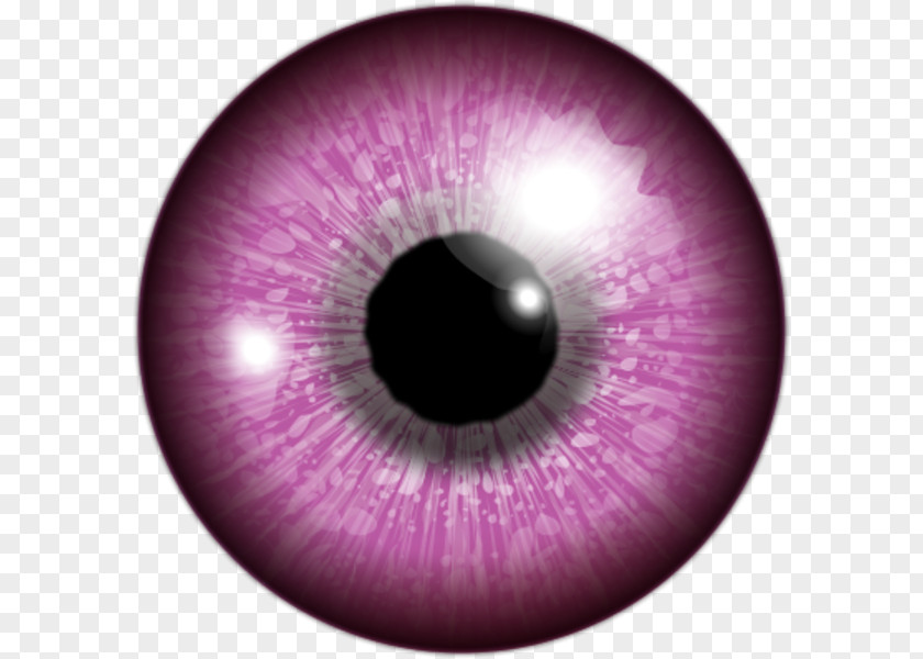 Watching Clipart Human Eye Iris Color PNG