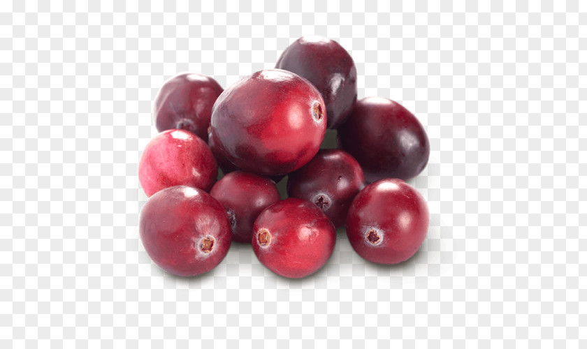 Blueberry Cranberry Lingonberry Huckleberry Fruit Food PNG