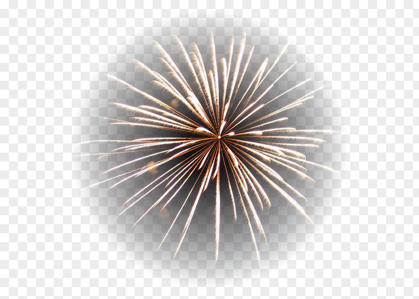 Fireworks Adobe Desktop Wallpaper PNG