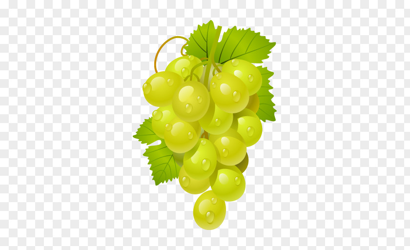 Fruit The Grape Cure Common Vine La Cura De Uva Sultana PNG