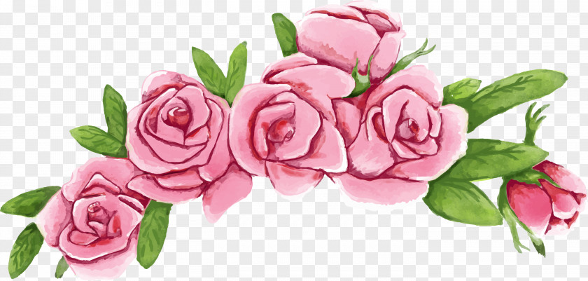 Hand Painted Roses Beach Rose Flower Wreath Euclidean Vector PNG