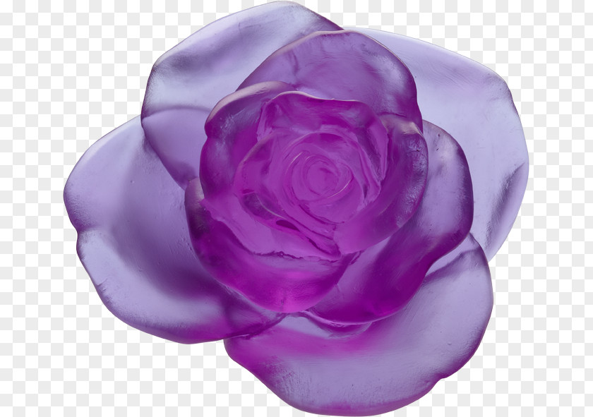 Purple Garden Roses Daum Flower Floral Design PNG
