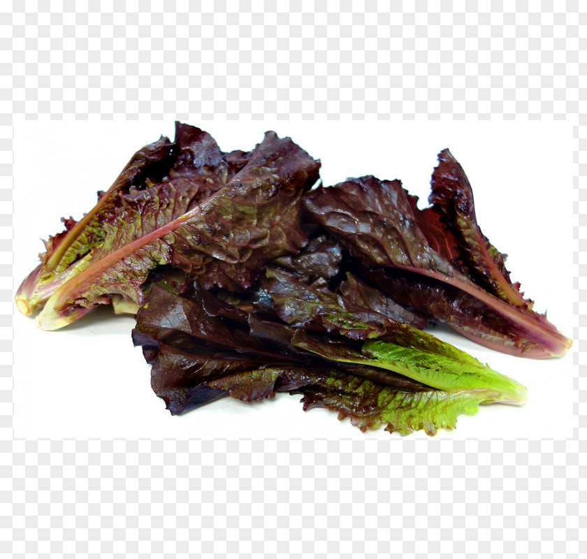 Romaine Lettuce Red Leaf Vegetable Mesclun PNG