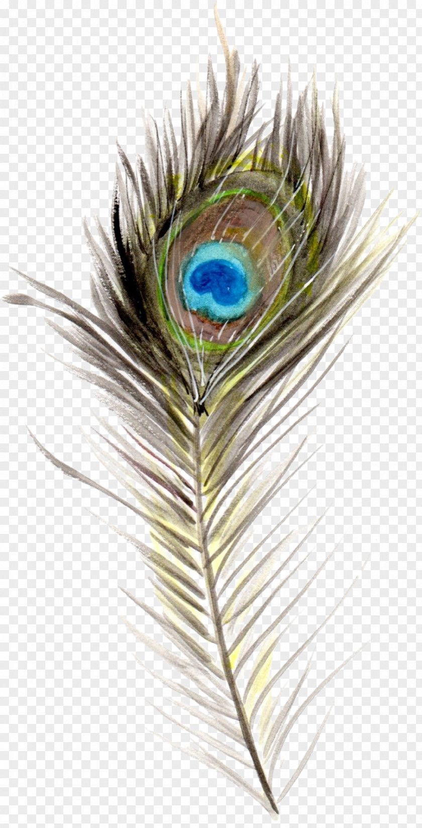 Bird Feather Boho-chic Quill PNG