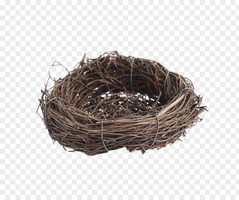 Bird's Nest Edible Birds Swallow PNG