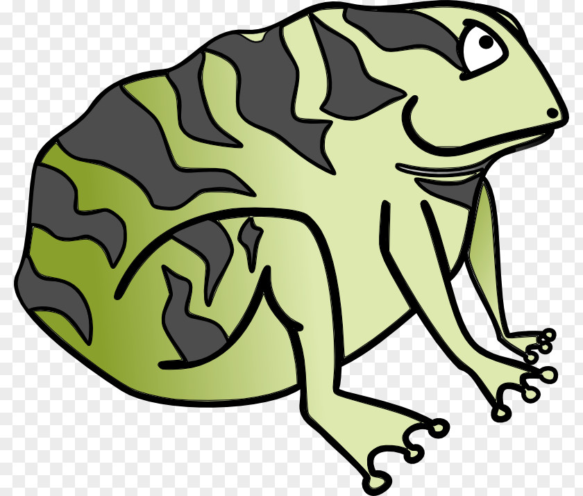 Cartoon Toad Frog Amphibian Clip Art PNG