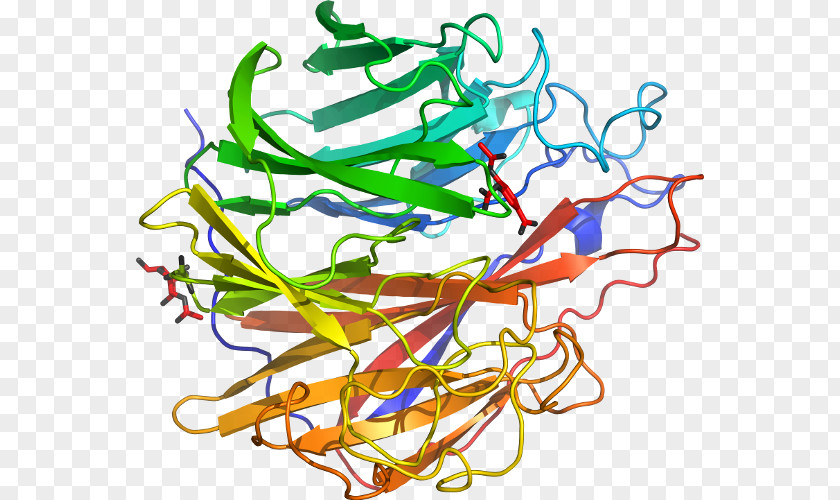 Discovery And Development Of Neuraminidase Inhibit Beta-glucosidase Glucosidases Glycoside Hydrolase Enzyme Substrate PNG