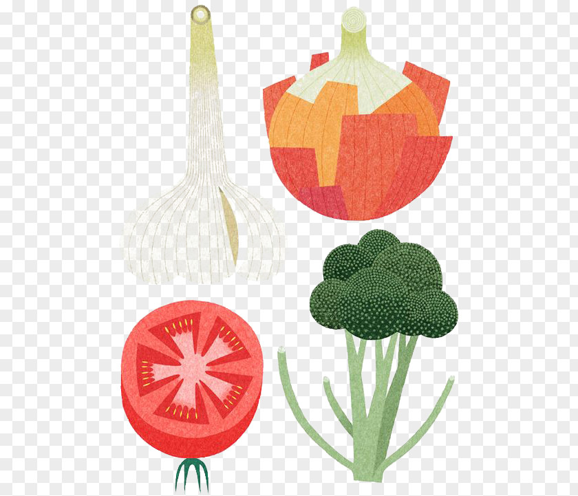Garlic Japan Drawing Illustrator Food Illustration PNG