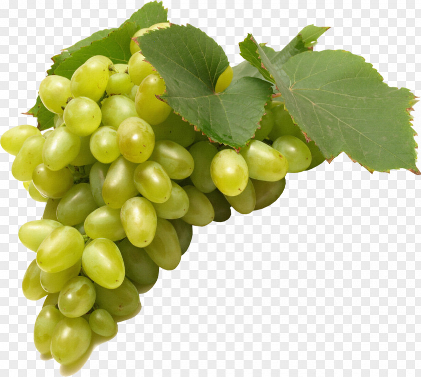 Grapes Common Grape Vine Juice Clip Art PNG