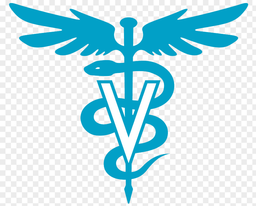 Symbol Veterinarian Veterinary Medicine Staff Of Hermes Caduceus As A PNG