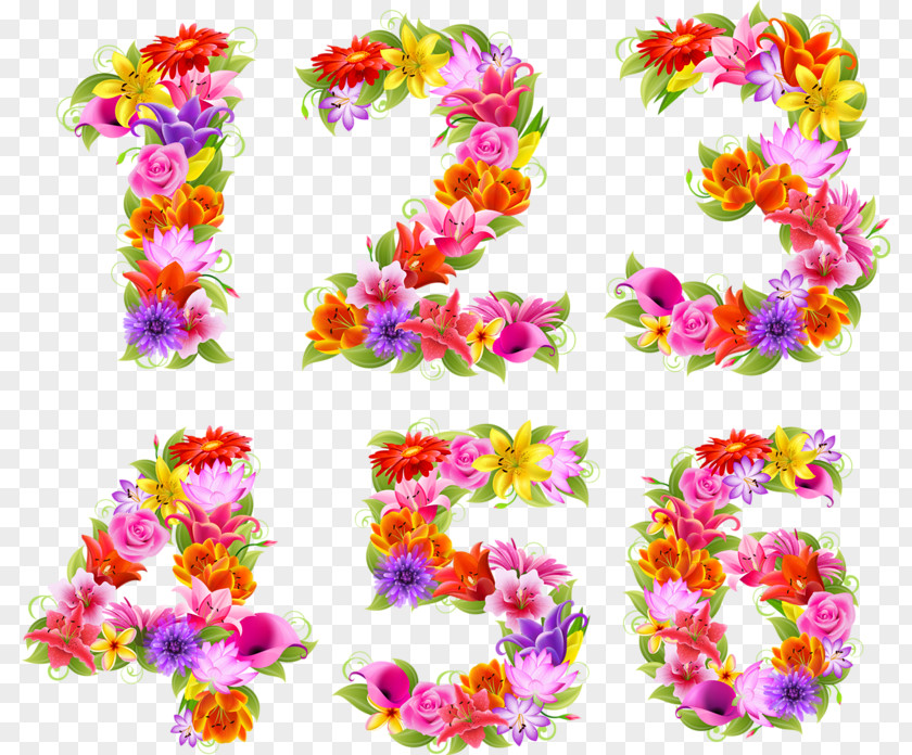 Flower Floral Design Number Stock Photography PNG