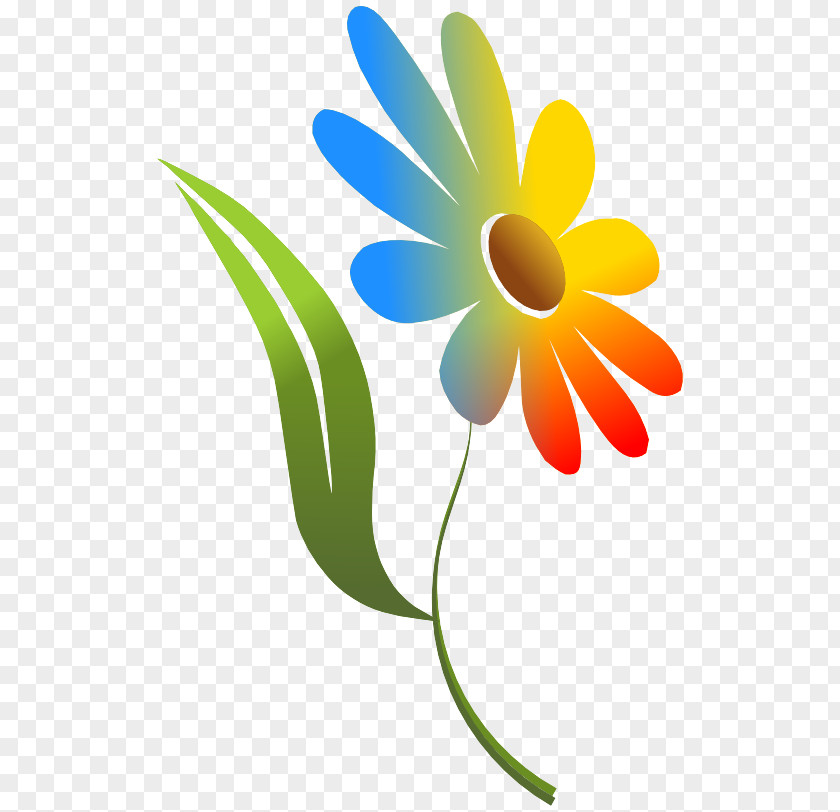 Gerbera Logo Clip Art Petal Plant Flower Chamomile PNG