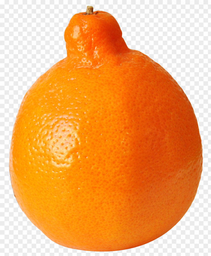 Of Tangelo FruitPix Clementine Tangerine Ugli Fruit Rangpur PNG