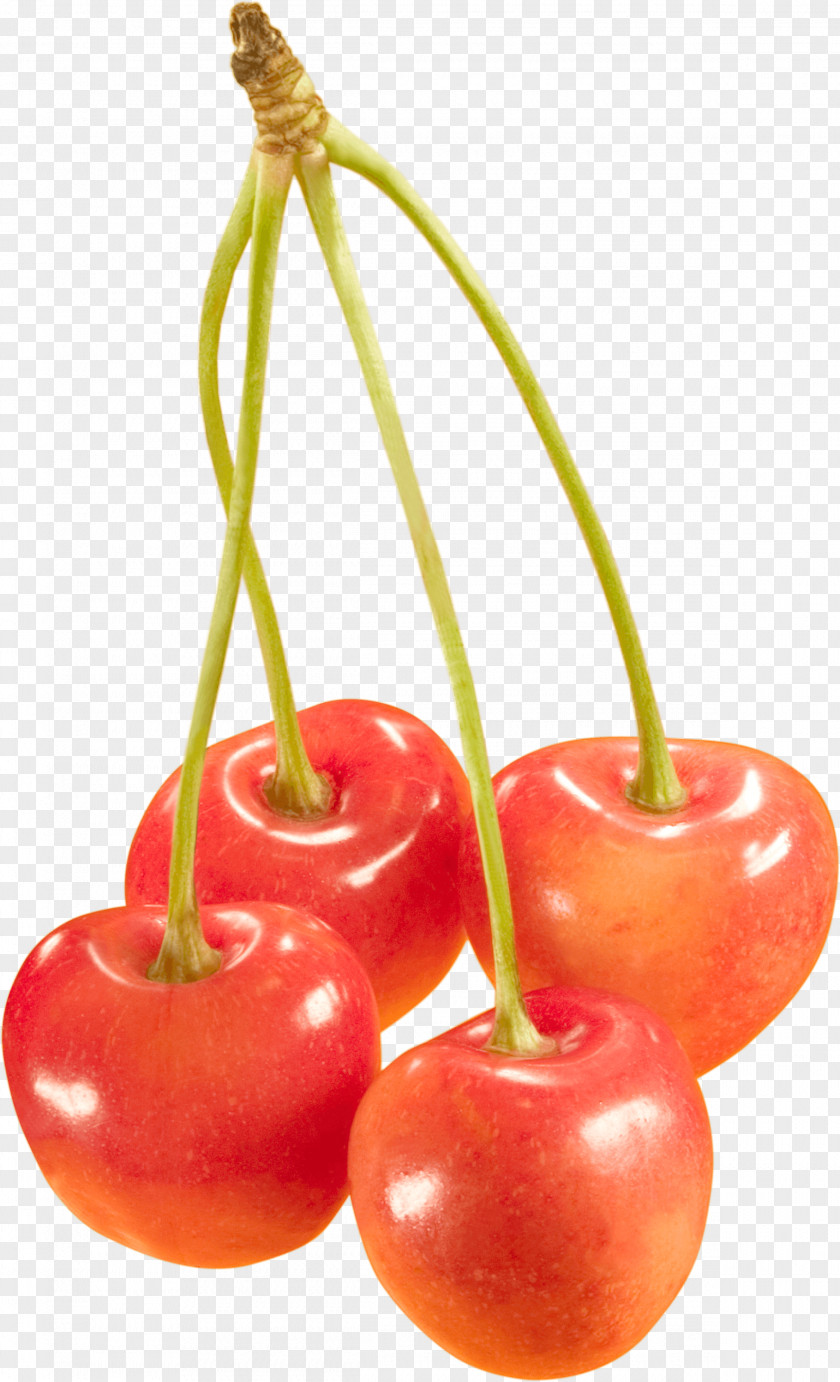 Cherries Image Sweet Cherry Cerasus Berry PNG