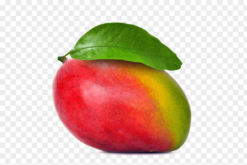 Mango Mangifera Indica Tommy Atkins Tropical Fruit PNG